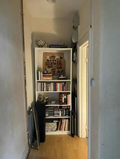 IMG_3736.jpeg