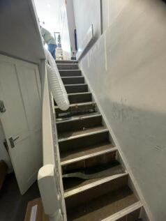 IMG_5941.JPEG
