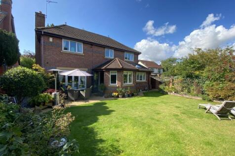 Property Image 42