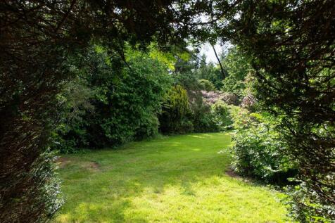 Property Image 62