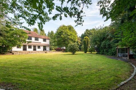 Property Image 43