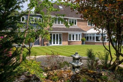 Property Image 41