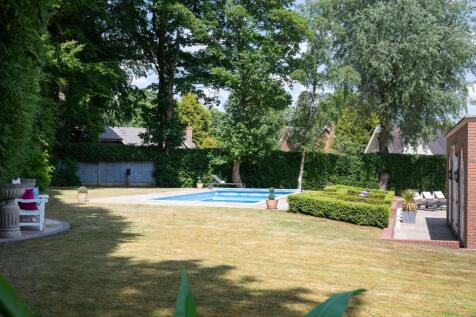 Property Image 42