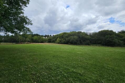 Field 2 .jpg