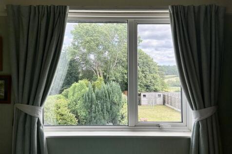 IMG_4560.jpeg