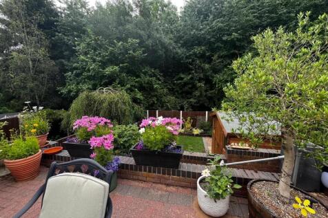 garden 2.jpg