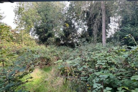 View to end of Plot