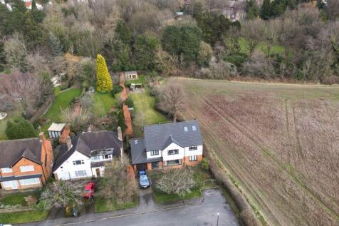 Plot View