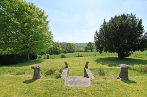 View from Front Door 