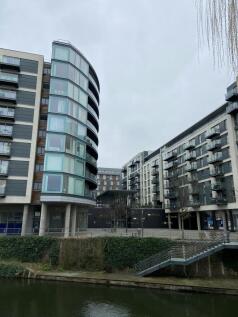 IMG_6195.jpeg