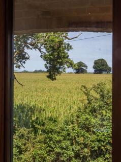 Property Image 62