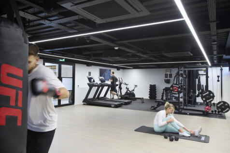 Fitness Suite WP