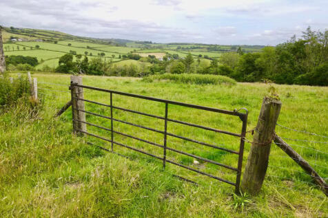 Property Image 36