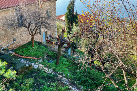 View from path