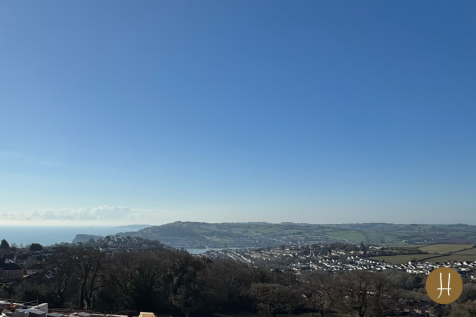The View