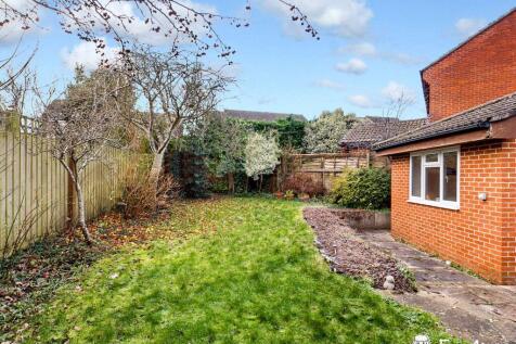 Garden at Back