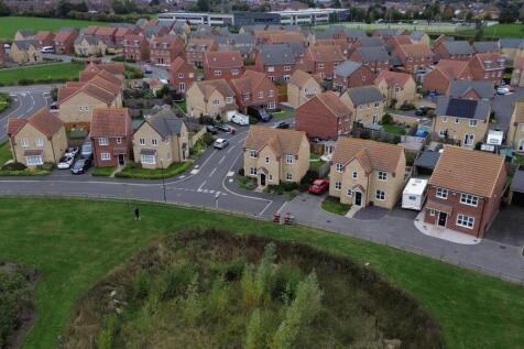 DJI_0420.JPG