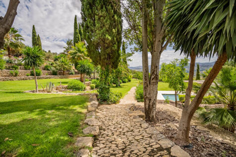 Property Image 41