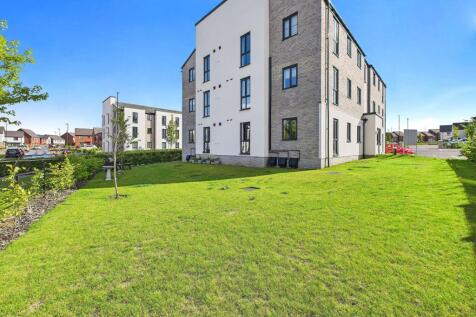 Communal Lawn