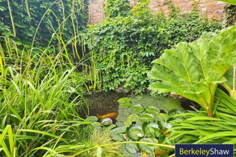 Fish Pond