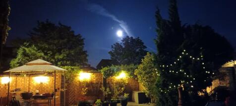 Garden at night