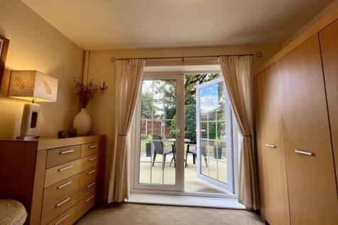 thumbnail_image0 (3)