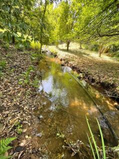 Property Image 65
