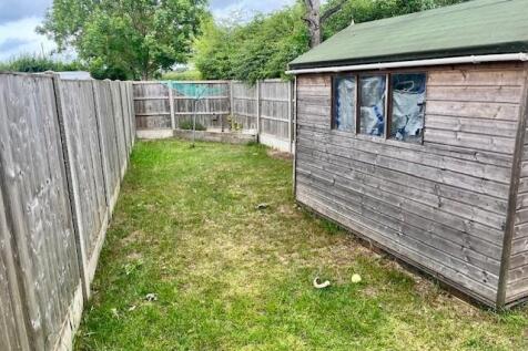 back garden.jpg
