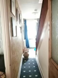 IMG_20250529_170427.jpg