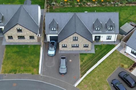 DJI_0203.JPG