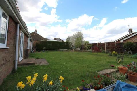 NEW GARDEN.JPG