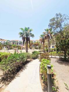 Communal Gardens