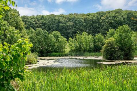 Pond