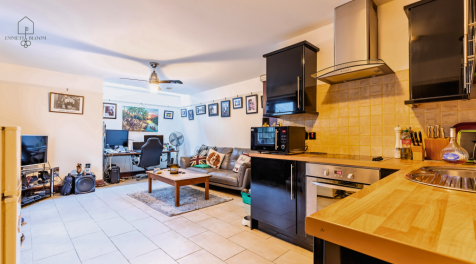 Annexe Lounge/kitchen