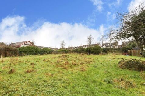 Back Garden