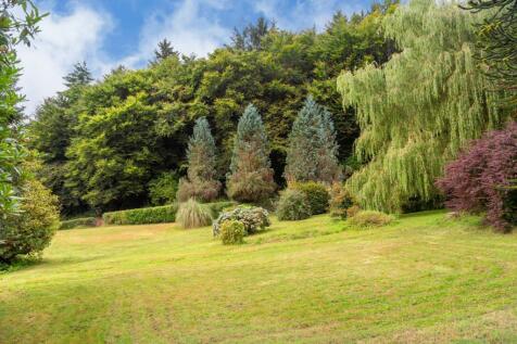Garden 2