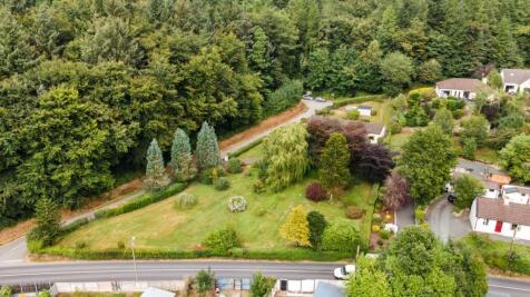 Aerial Shot