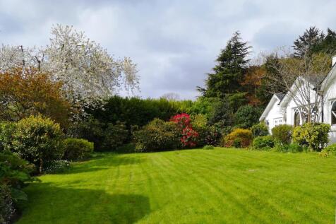 Rear Lawn