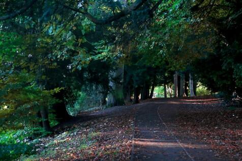 The Rye Park
