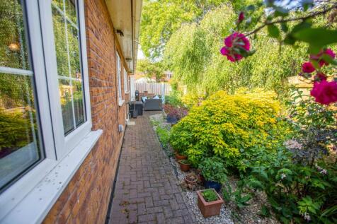Back Garden