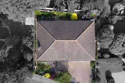 Aerial Shot