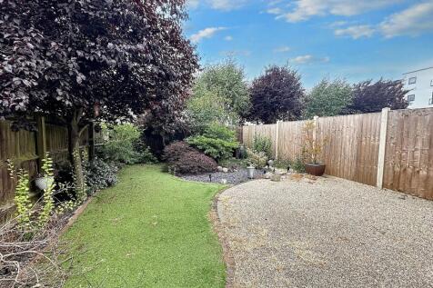 Back Garden