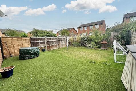Back Garden