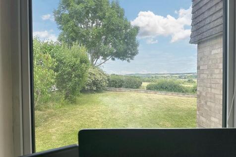 View from Office