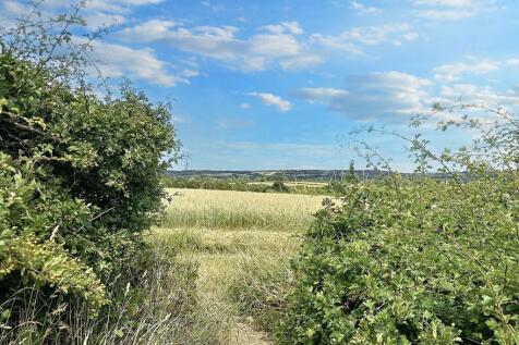 Field Views