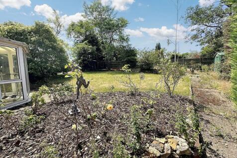Back Garden