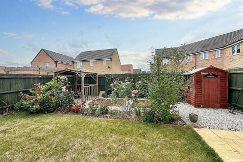 Back Garden