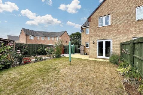 Back Garden