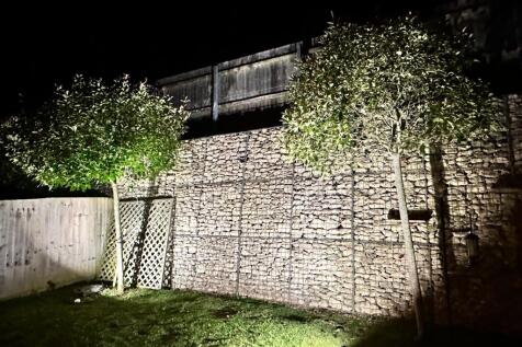 Night Garden