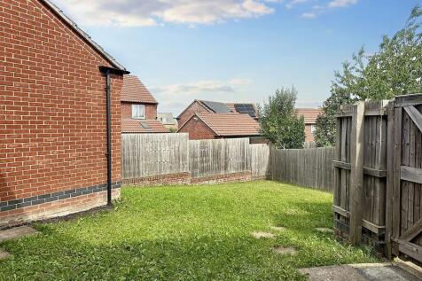 Back Garden